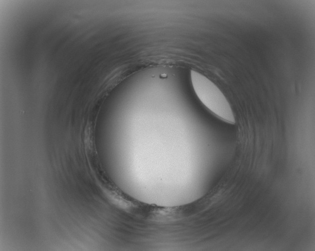 X0000051920092200506241141