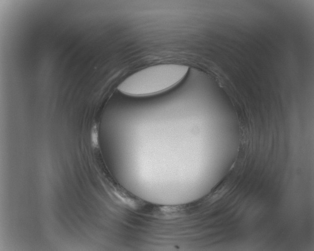 X0000051920095200506241141