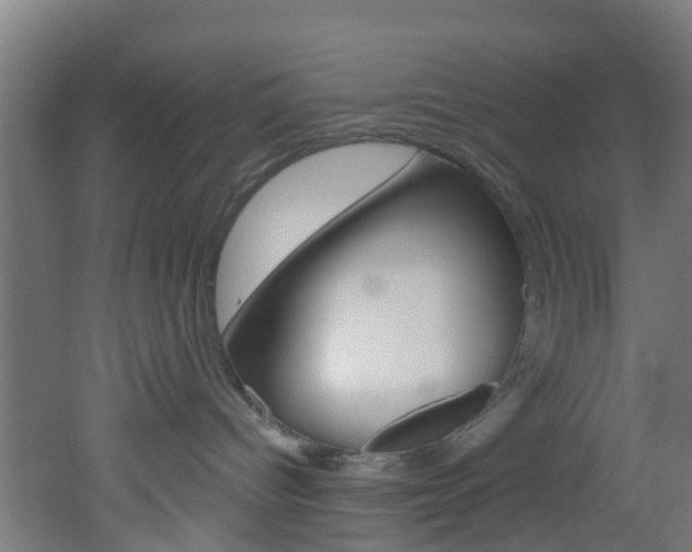 X0000051920096200506241141