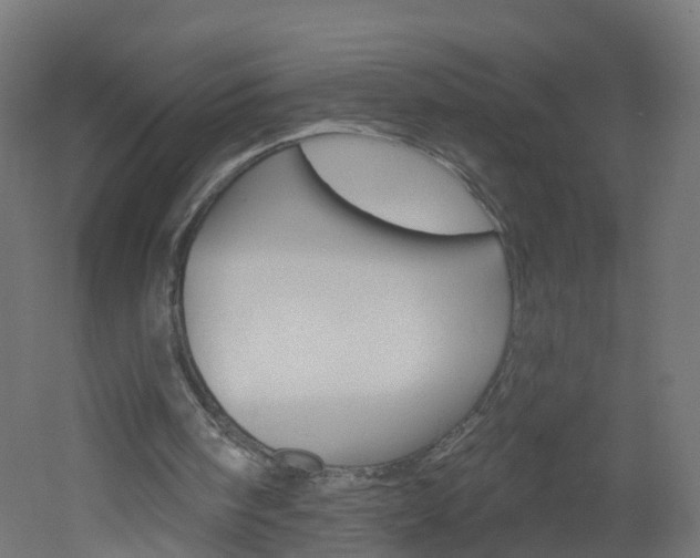 X0000051920098200506241140