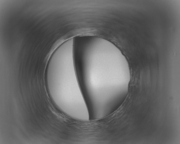 X0000051920099200506241140