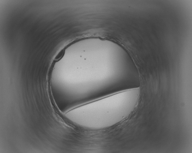 X0000051920100200506241140