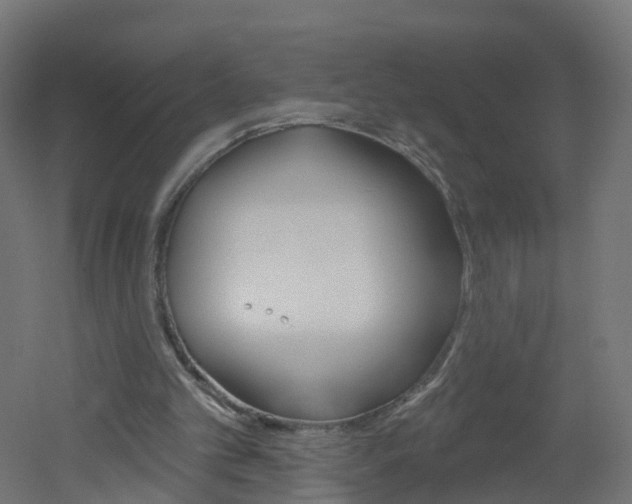 X0000051920101200506241140