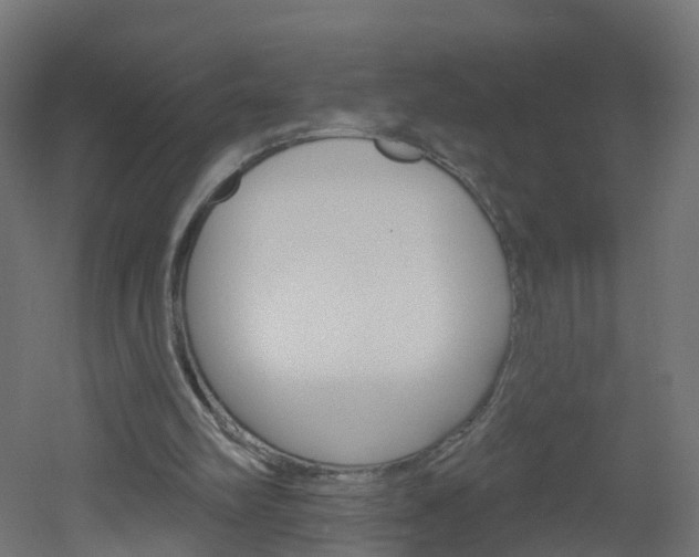 X0000051920102200506241140