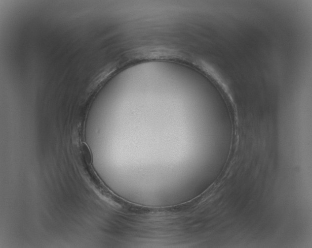 X0000051920105200506241140