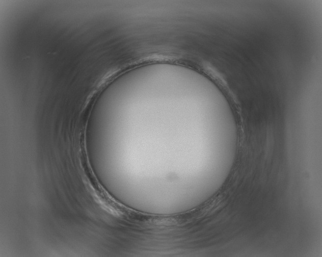 X0000051920106200506241140