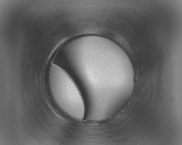 X0000051920108200506241140