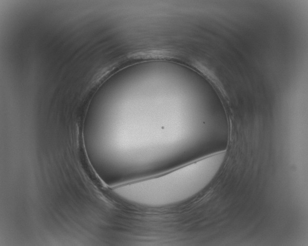 X0000051920109200506241140