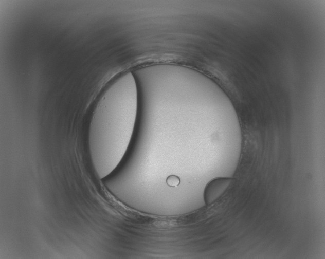 X0000051920110200506241140