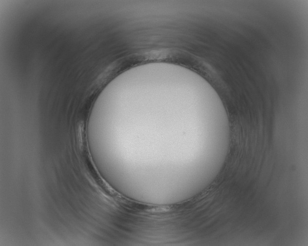 X0000051920118200506241139