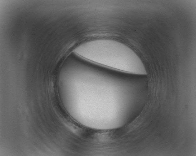 X0000051920120200506241139