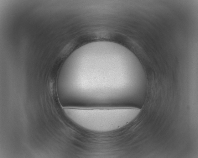 X0000051920123200506241139