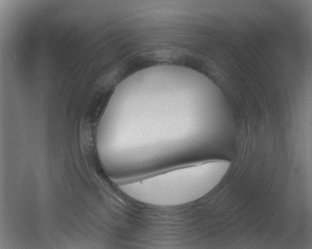X0000051920137200506241139