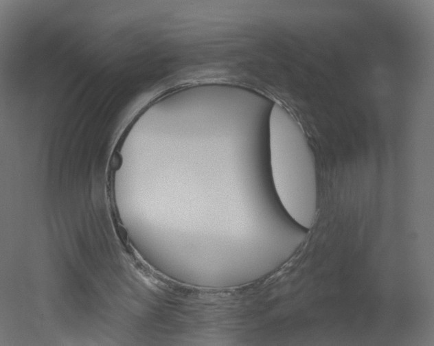 X0000051920147200506241138