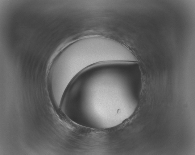 X0000051920150200506241138