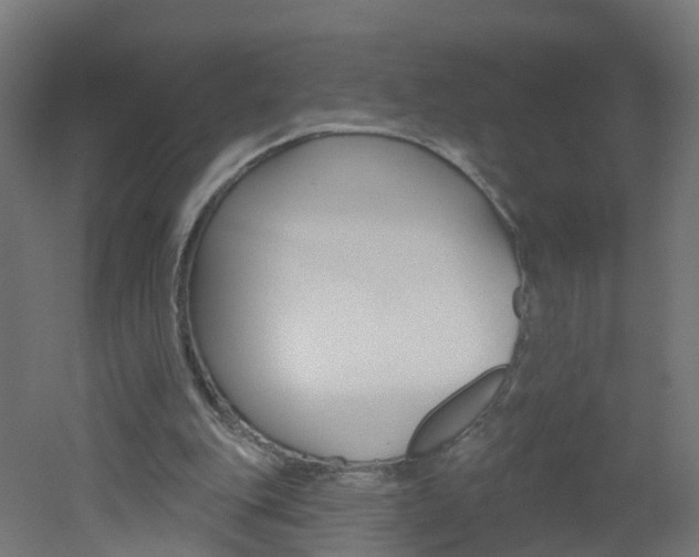 X0000051920151200506241138