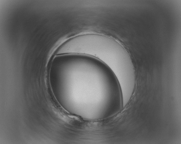 X0000051920152200506241138