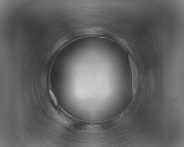 X0000051920154200506241138
