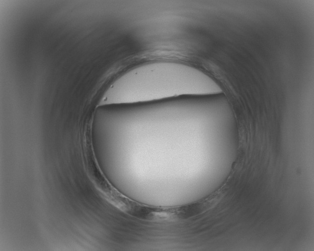 X0000051920167200506241139