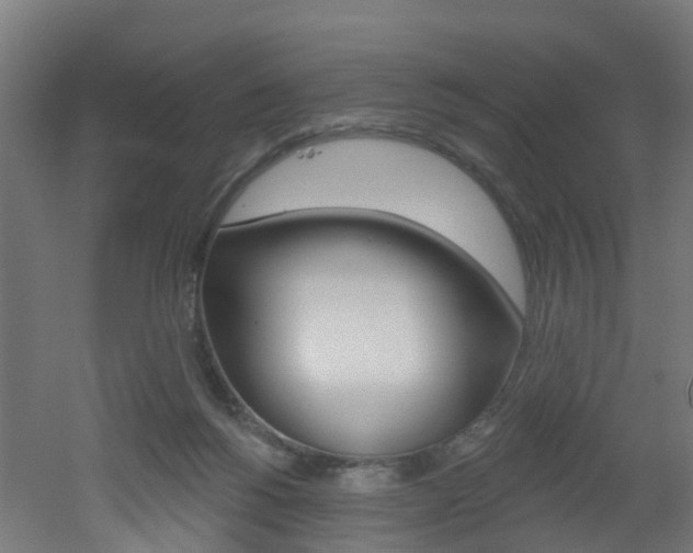 X0000051920168200506241139