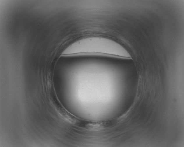 X0000051920170200506241139