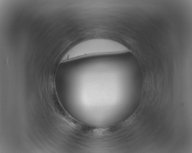 X0000051920172200506241139