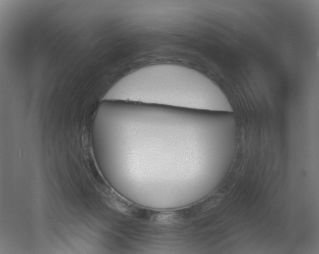 X0000051920173200506241139