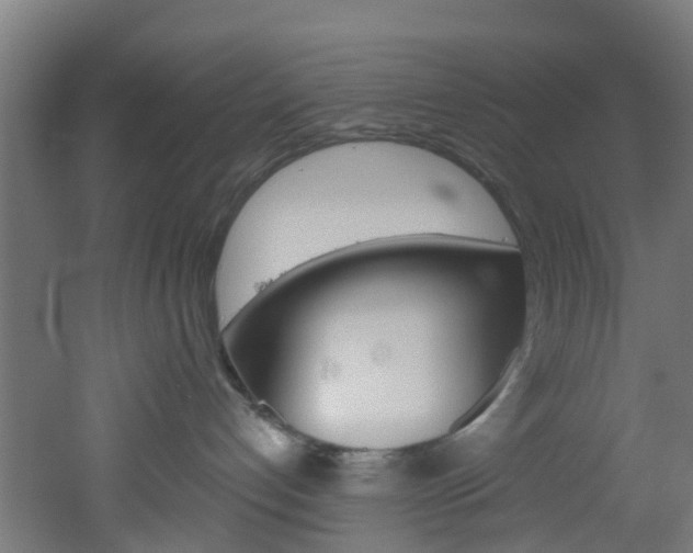X0000051920192200506241139