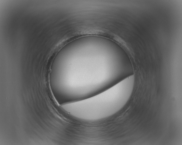 X0000051920203200506241138