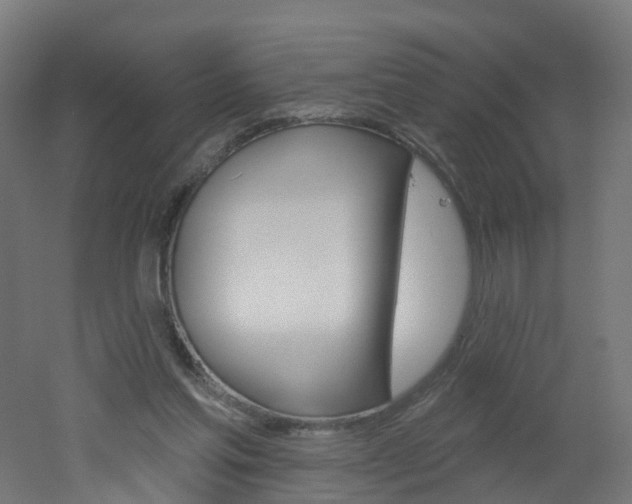 X0000051920205200506241138