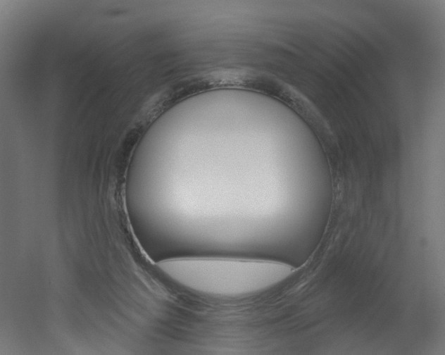 X0000051920209200506241138