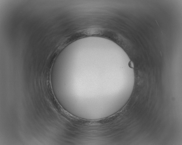 X0000051920210200506241138