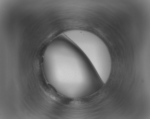 X0000051920211200506241138