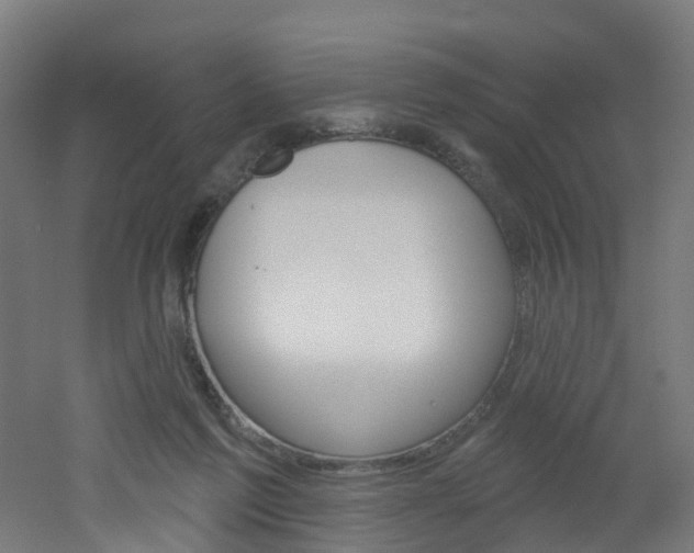 X0000051920213200506241138