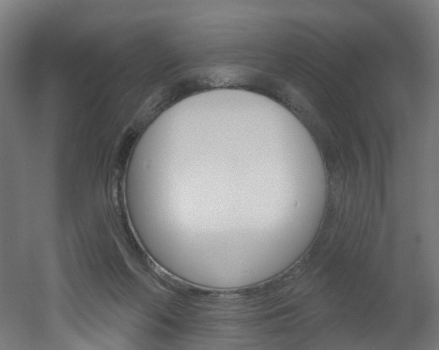 X0000051920214200506241138