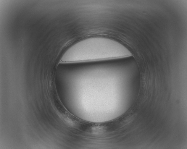 X0000051920216200506241138