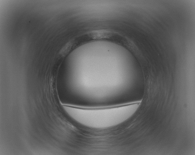 X0000051920219200506241138