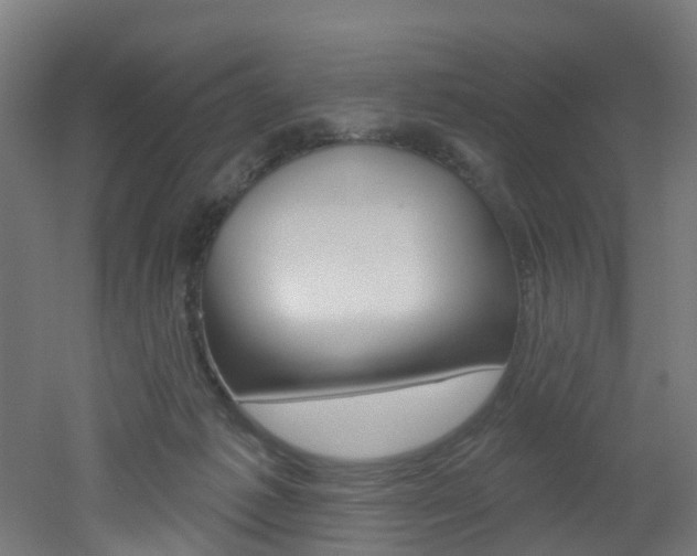 X0000051920221200506241138
