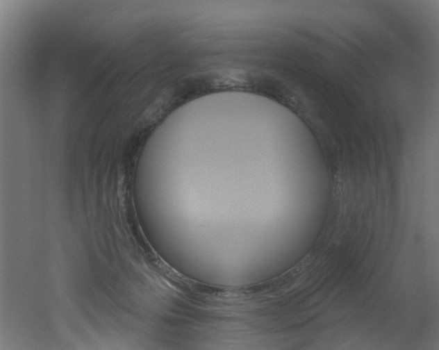X0000051920223200506241138