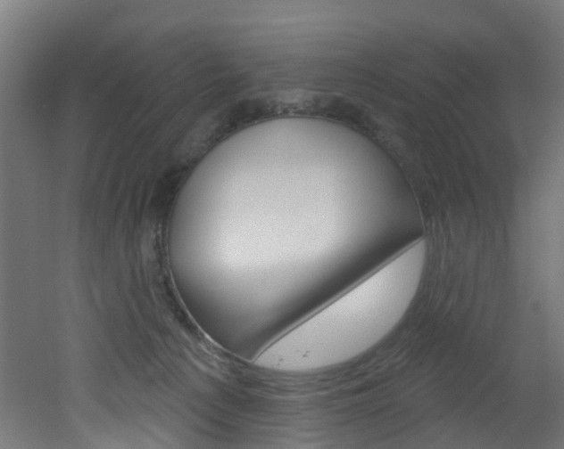 X0000051920225200506241138