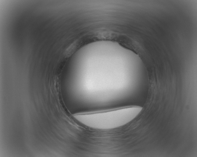 X0000051920233200506241137