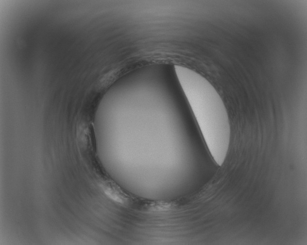 X0000051920235200506241137