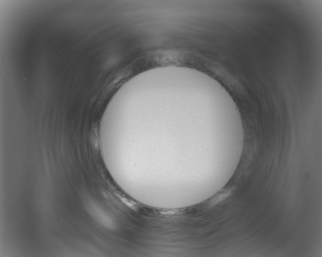 X0000051920240200506241137