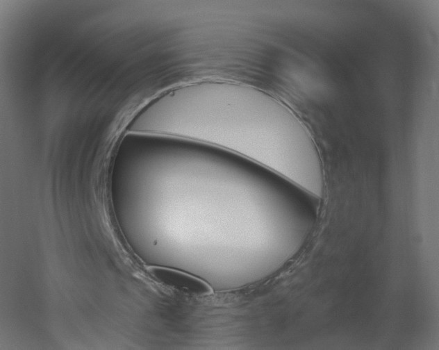 X0000051920241200506241137