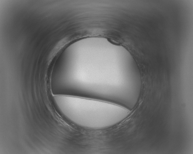 X0000051920242200506241137
