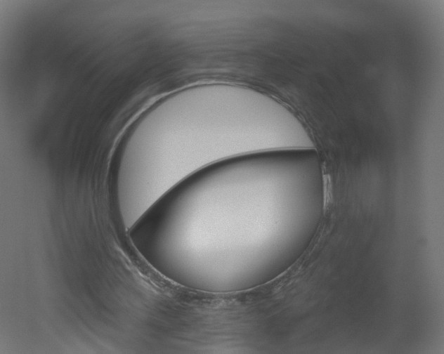 X0000051920243200506241137