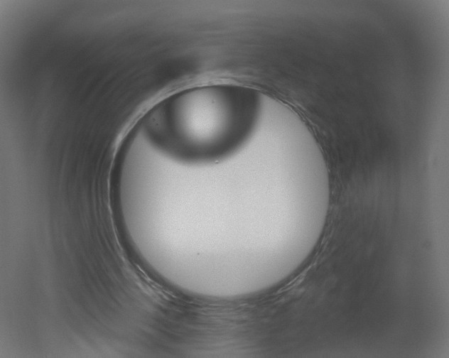 X0000051920244200506241137