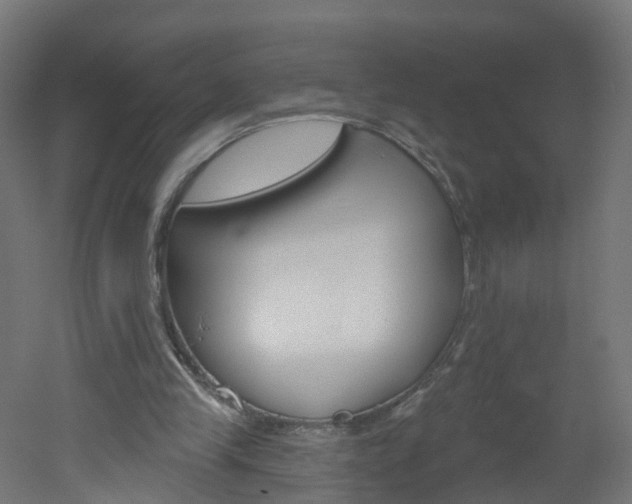 X0000051920245200506241137