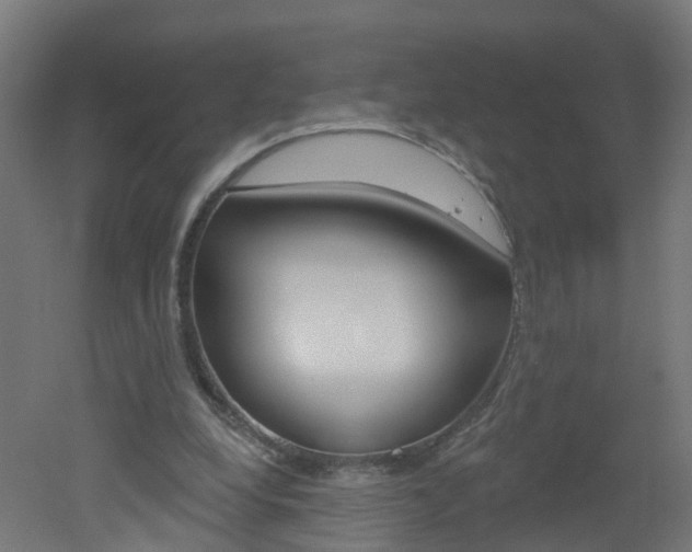 X0000051920248200506241137