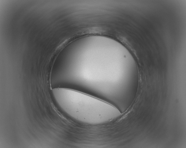 X0000051920249200506241137